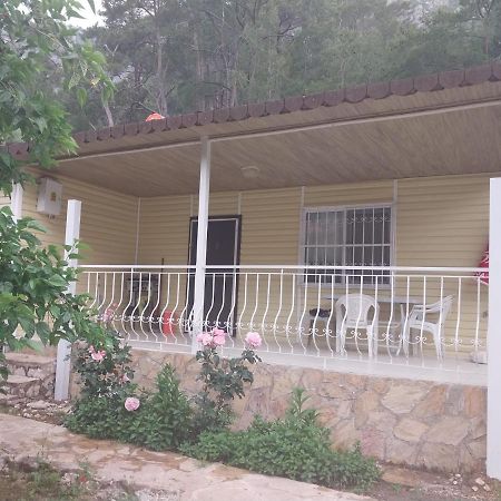 Village Garden Pansiyon Antalya Exterior foto
