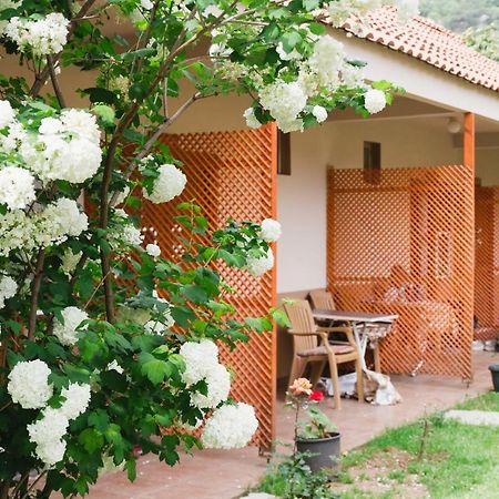 Village Garden Pansiyon Antalya Exterior foto