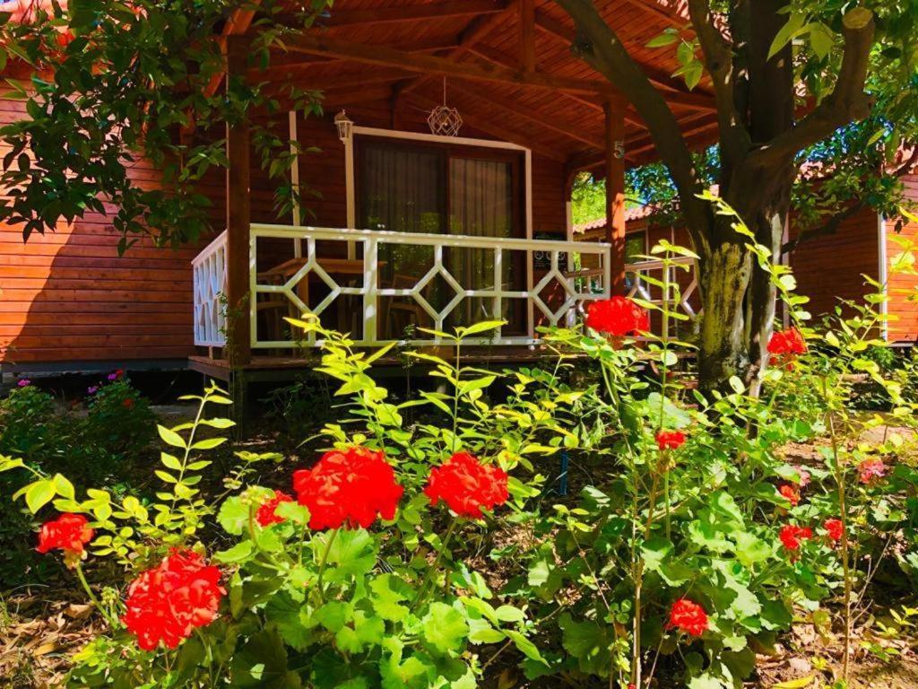 Village Garden Pansiyon Antalya Exterior foto