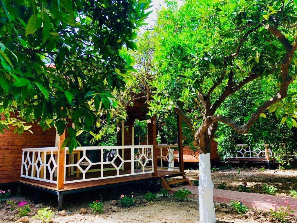 Village Garden Pansiyon Antalya Exterior foto