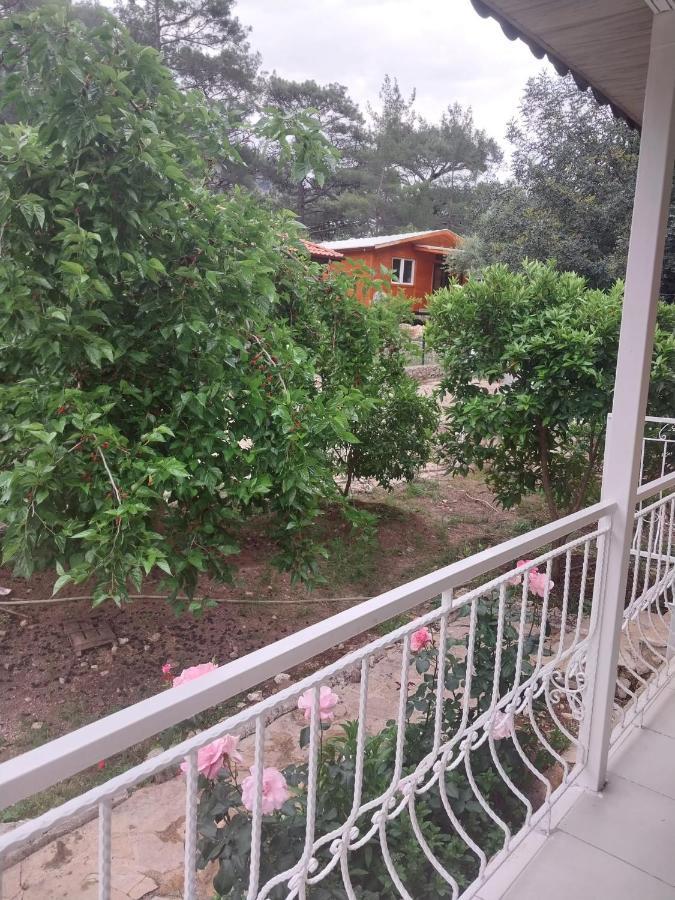 Village Garden Pansiyon Antalya Exterior foto