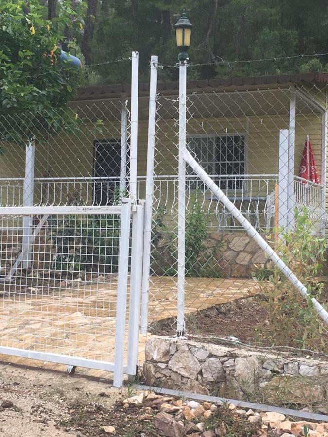 Village Garden Pansiyon Antalya Exterior foto